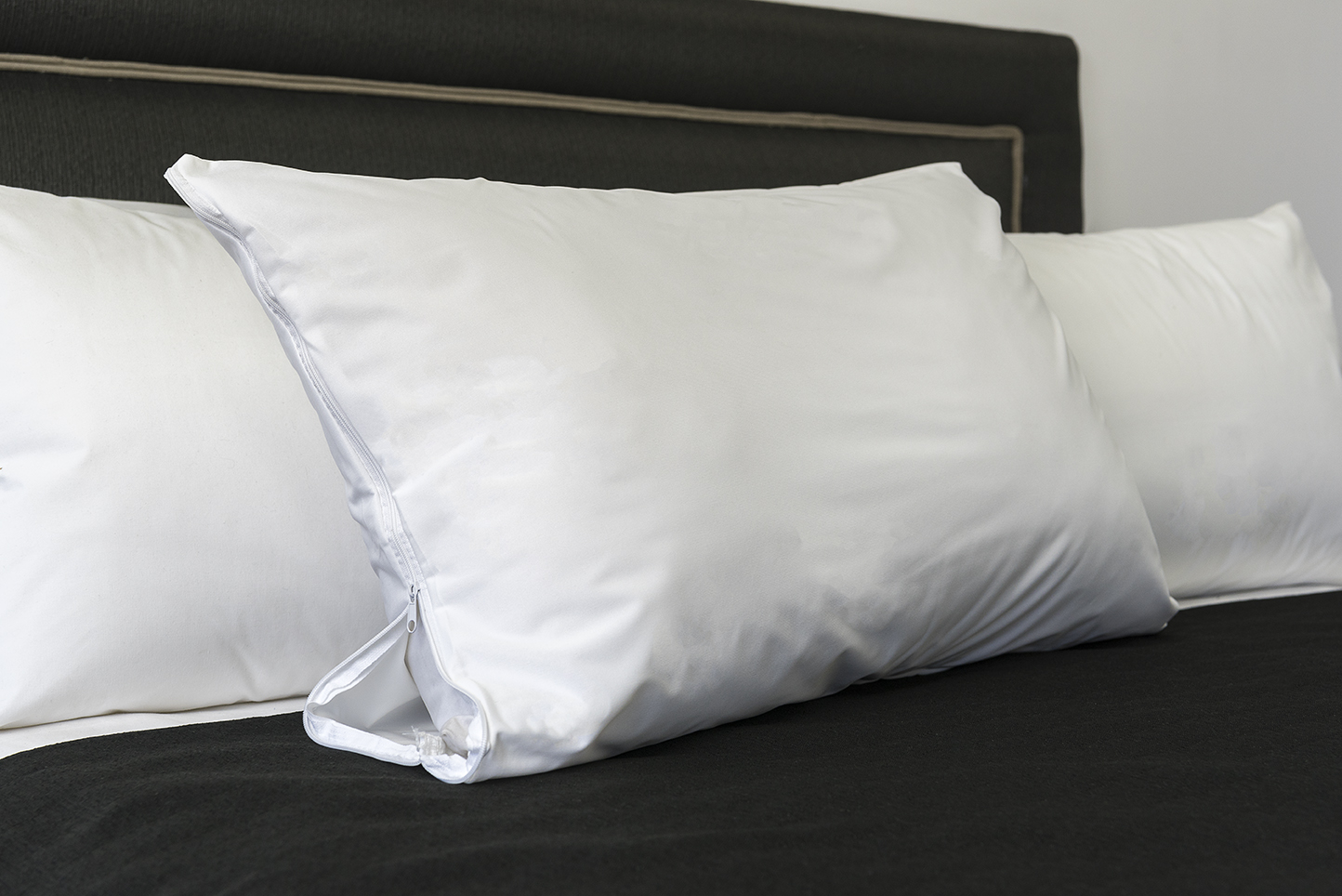 Pillow Protector PU Waterproof-0 Pillow Protector PU Waterproof-0