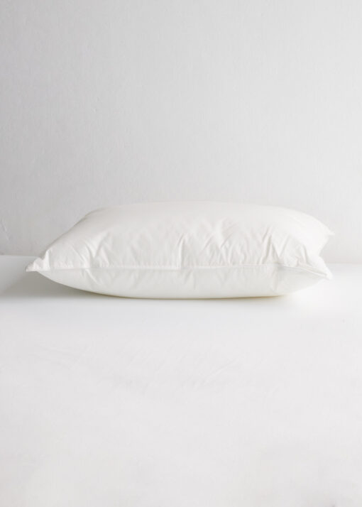 Eco_Plush_Pillow_Stanadard_Alliance_Eccom_23AMUSPECO_001-510x714